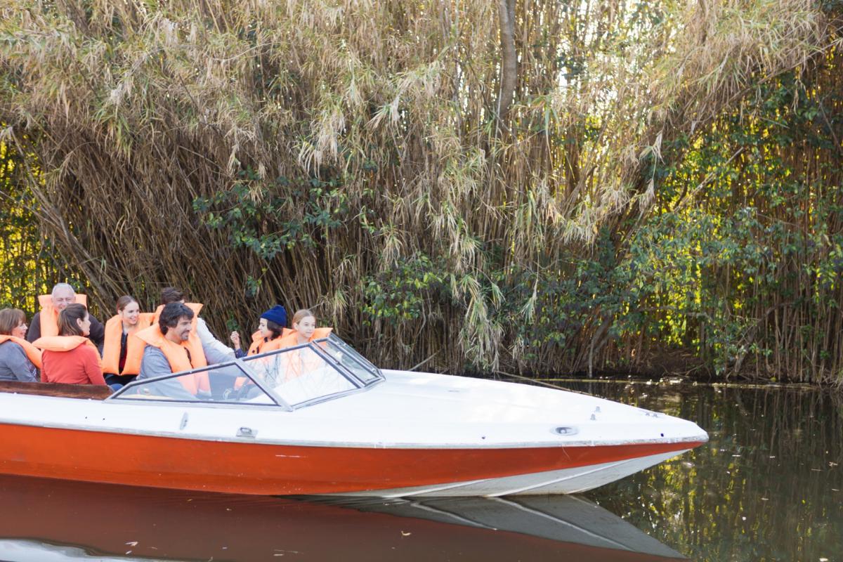 Why You Should Wear a Life Jacket on Your Boat